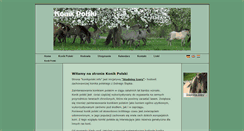 Desktop Screenshot of konikpolski.info